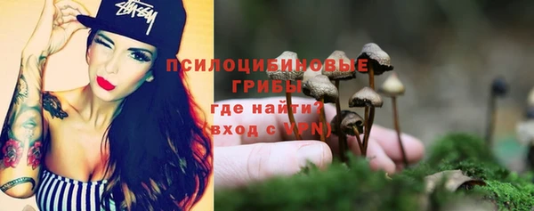 кокс Алексин