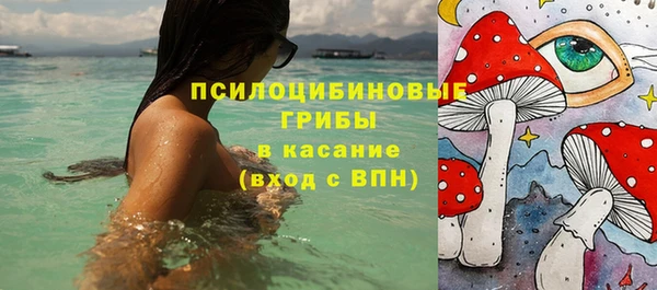 прущие крисы Алексеевка
