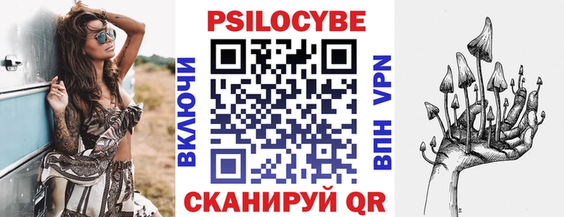 shop как зайти  Кирс  Галлюциногенные грибы Psilocybine cubensis 